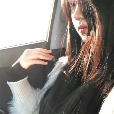 狮子今夜入睡